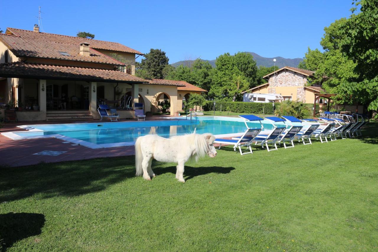 Podere San Paolo San Giuliano Terme Bagian luar foto